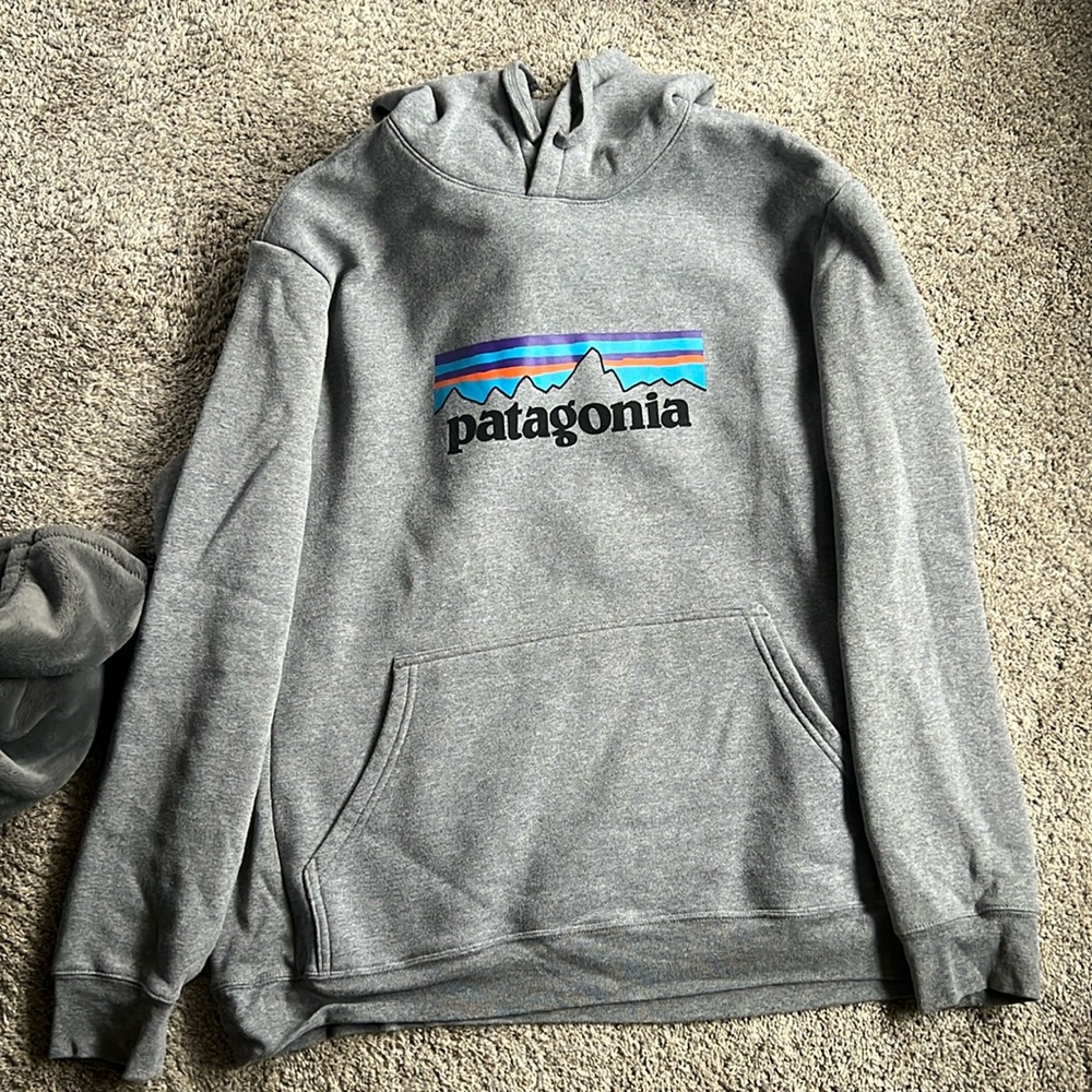 Mens Patagonia sweatshirt
